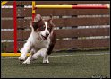Brezi_022