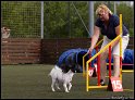 Brezi_257