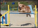 Agi_Cebin_031