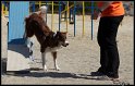 Agi_Cebin_297