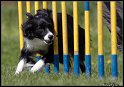 Agi_Zlin_096