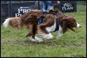 EC_2010_1_178