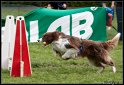 EC_2010_2_061