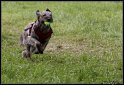 EC_2010_2_219