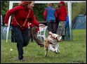 EC_2010_2_254