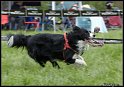 EC_2010_2_279