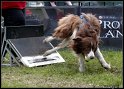 EC_2010_2_335