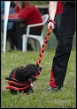EC_2010_2_378