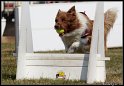 EFC2010_1_086
