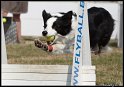 EFC2010_1_095
