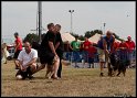 EFC2010_1_312