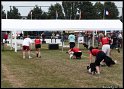 EFC2010_1_444