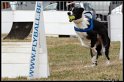 EFC2010_2_187