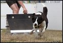 EFC2010_2_253