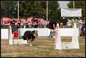 EFC2010_2_336