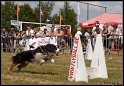 EFC2010_2_340