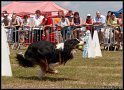EFC2010_2_341