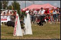 EFC2010_2_356