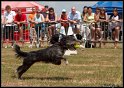 EFC2010_2_357