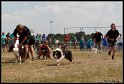 EFC2010_2_379