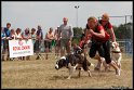 EFC2010_2_403