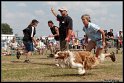 EFC2010_2_445