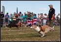 EFC2010_2_477