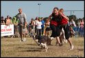 EFC2010_2_484