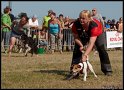 EFC2010_2_493