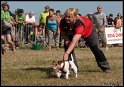 EFC2010_2_494