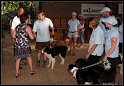 EFC2010_2_539