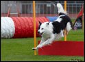 EO2010_2_044