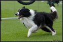 EO2010_2_104