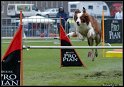 EO2010_2_247