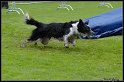 EO2010_2_457