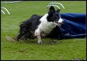 EO2010_2_464