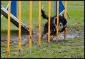 EO2010_2_467