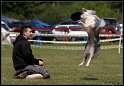MCR2010_296