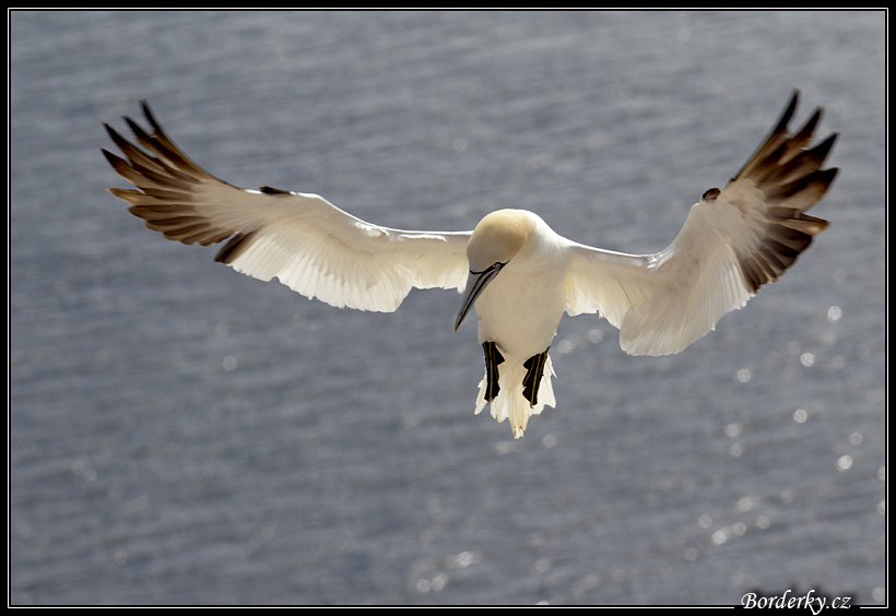 Helgoland_000.jpg