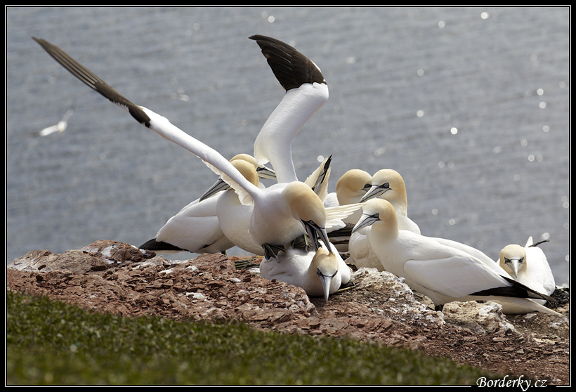 Helgoland_001.jpg