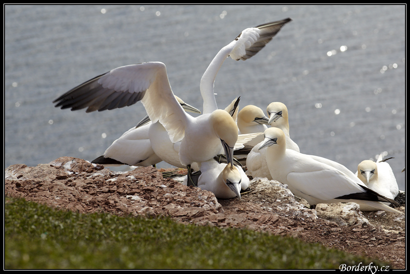 Helgoland_003.jpg