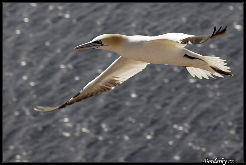 Helgoland_004.jpg