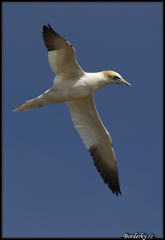 Helgoland_006.jpg