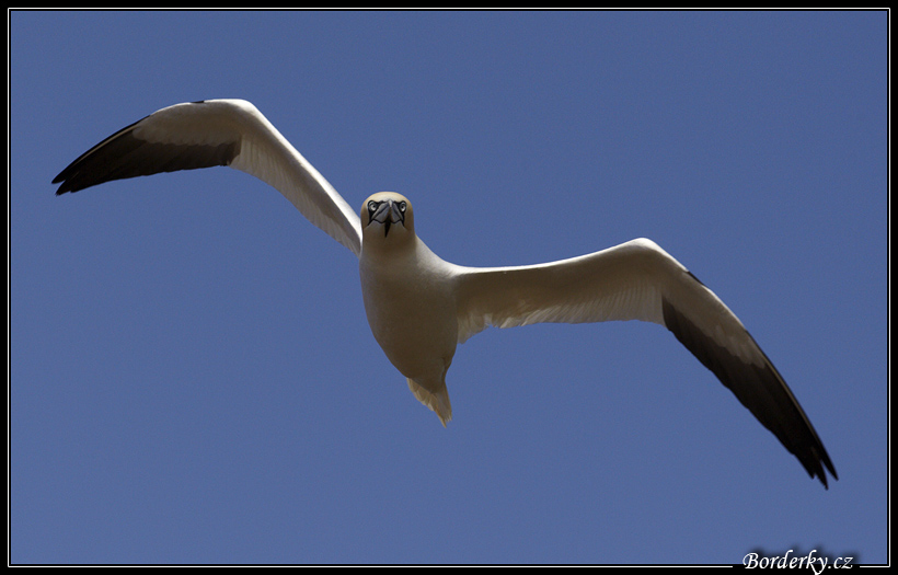 Helgoland_008.jpg