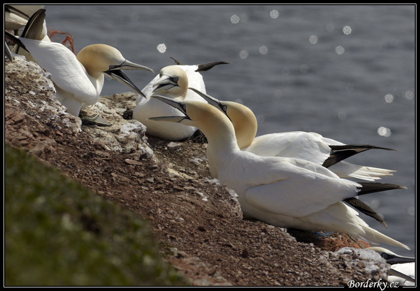 Helgoland_009.jpg