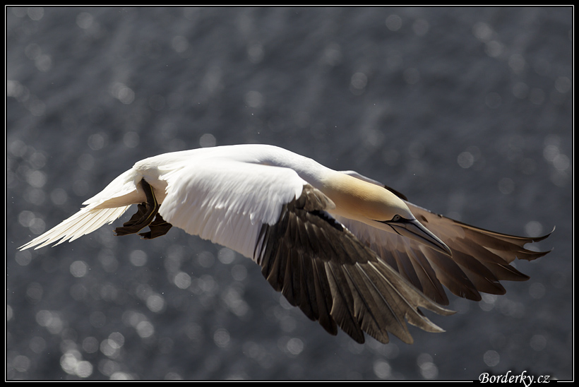 Helgoland_010.jpg