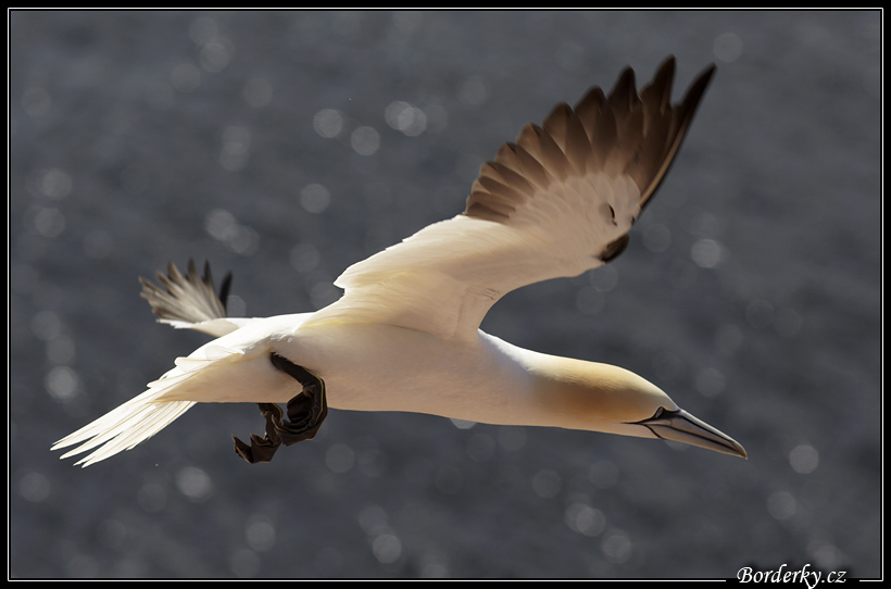 Helgoland_011.jpg