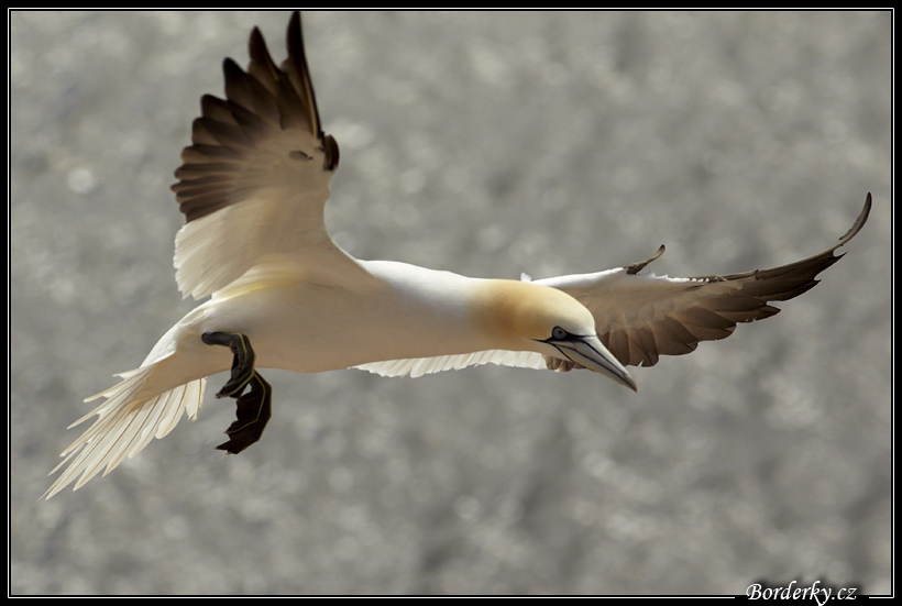 Helgoland_013.jpg