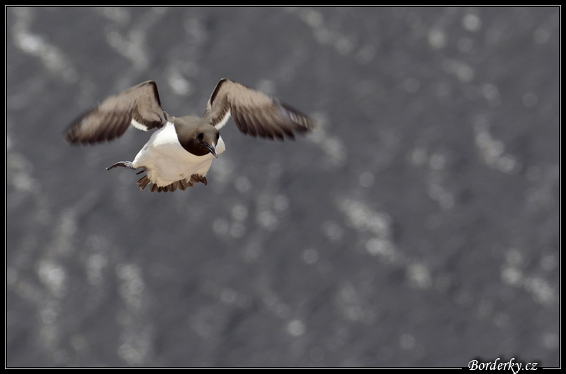 Helgoland_015.jpg