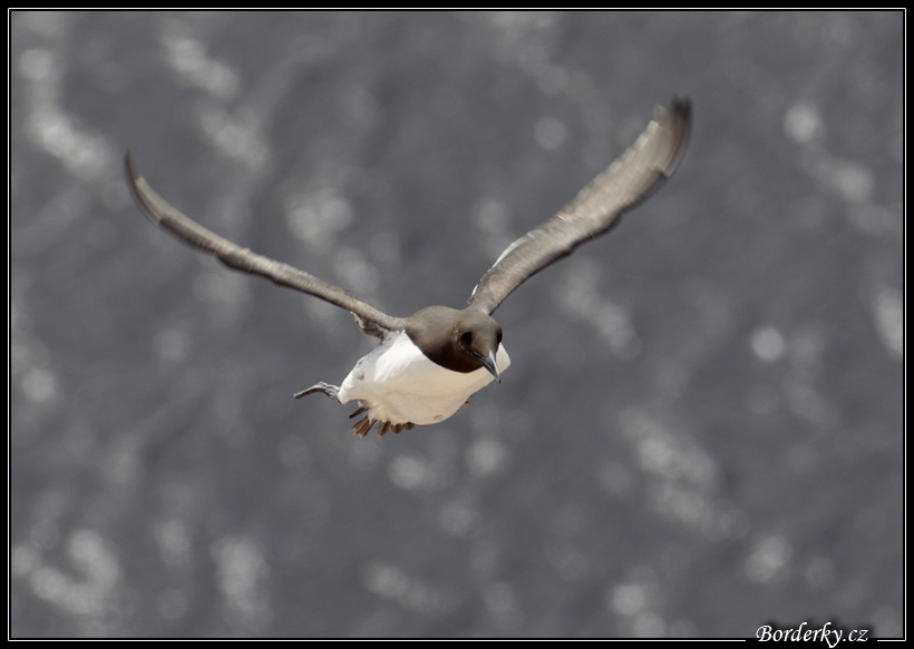 Helgoland_016.jpg